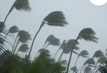 Typhoon